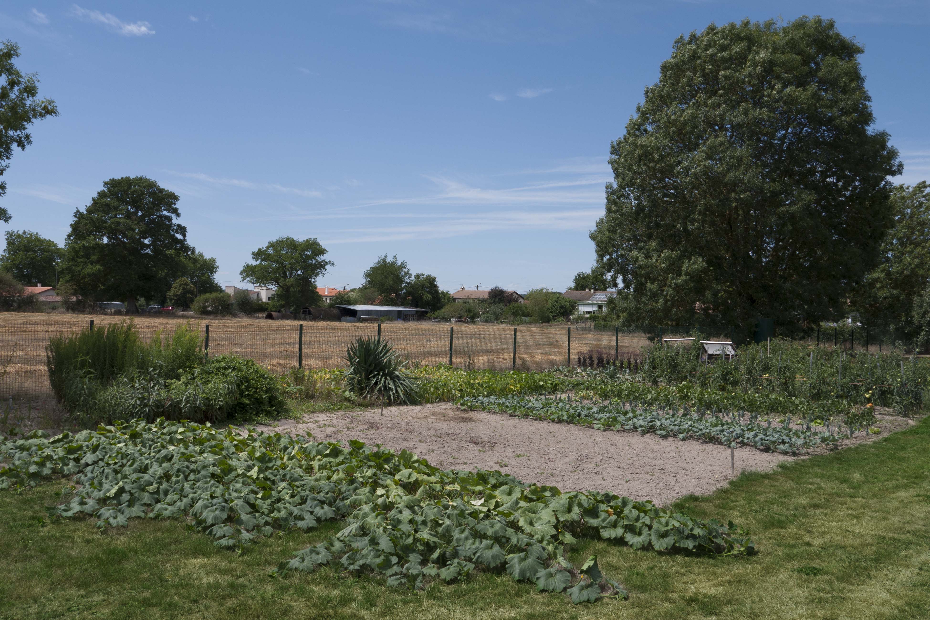 Résidence la Forêt le potager